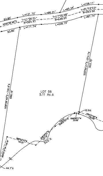 Lot 56